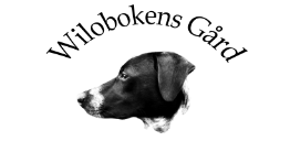 Wilobokens Gård i Broby